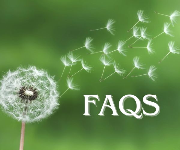 REF Counseling answers some FAQs about online therapy.